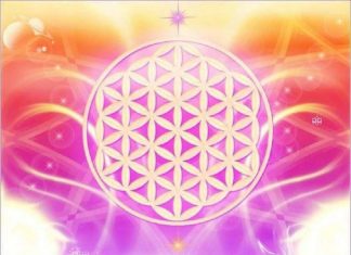 Atelier sur la Géométrie Sacrée